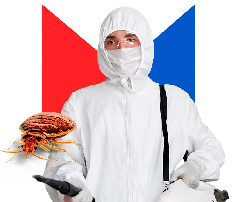 Туман от клопов